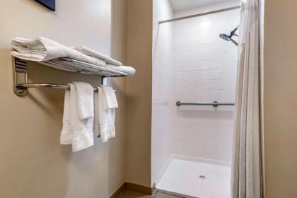 Comfort Inn Amite - image 14