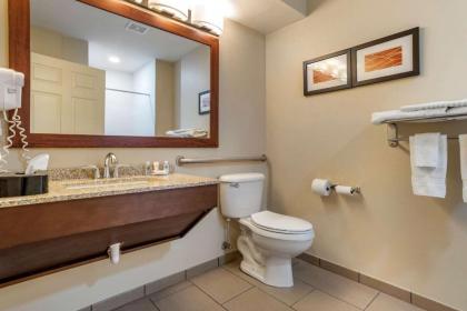 Comfort Inn Amite - image 15