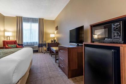 Comfort Inn Amite - image 8