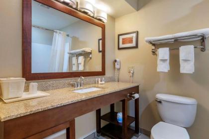 Comfort Inn Amite - image 9