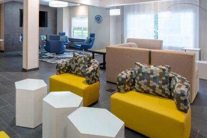 Microtel Inn & Suites by Wyndham Amsterdam - image 3