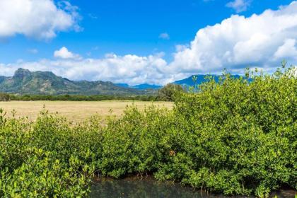 Hibiscus Hula Beach Cottage (TVNC#:5067) - image 6