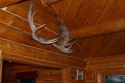 Moose Cabin - image 4