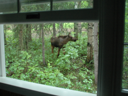 Judy's Touch of Class Bed & Breakfast - image 3