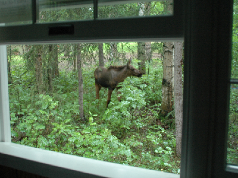 Judy's Touch of Class Bed & Breakfast - image 3