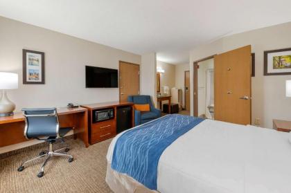Comfort Inn Anderson South - image 11