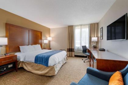 Comfort Inn Anderson South - image 6