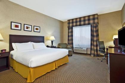 Holiday Inn Express Hotel & Suites Anderson an IHG Hotel - image 8