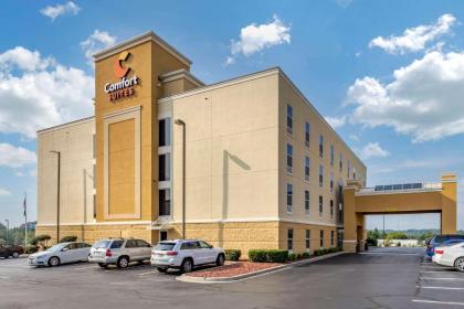 Comfort Suites Anderson-Clemson - image 4