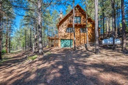 Tschirtart Cabin - 4 Bed 2 Bath Vacation home in Angel Fire - image 4