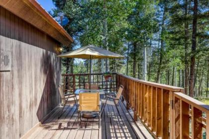 Holiday homes in Angel Fire New Mexico