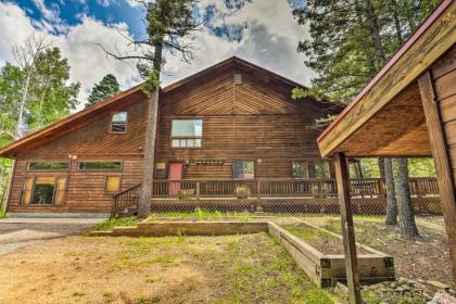 Spacious Retreat Less Than 5 Mi to Angel Fire Resort! - image 3