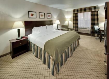 Holiday Inn Express Hotel & Suites Ankeny - Des Moines an IHG Hotel - image 2