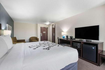 Sleep Inn & Suites Ankeny - Des Moines - image 4