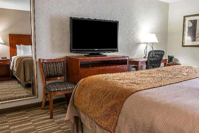 Comfort Inn & Suites University South - image 3