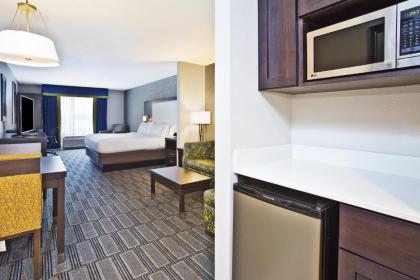 Holiday Inn Express Hotel & Suites Ann Arbor West an IHG Hotel - image 10