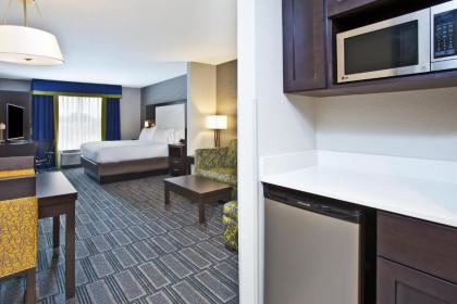 Holiday Inn Express Hotel & Suites Ann Arbor West an IHG Hotel - image 12