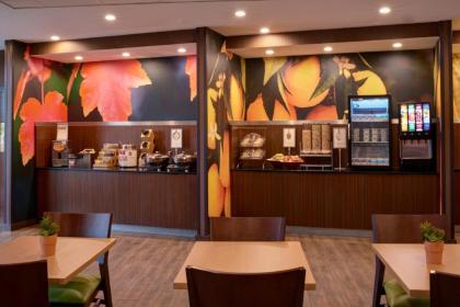 Fairfield Inn & Suites By Marriott Ann Arbor Ypsilanti - image 12