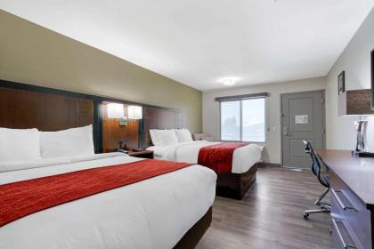 Comfort Inn - image 14