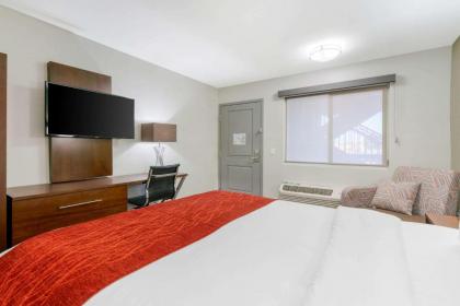 Comfort Inn - image 15