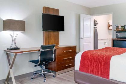 Comfort Inn - image 9