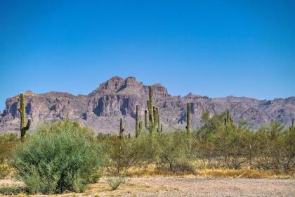 Quiet Retreat about 5 Mi to Lost Dutchman State Park! - image 8