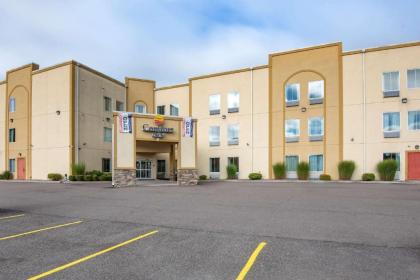 Comfort Inn Apalachin