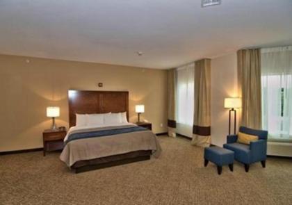 Comfort Inn - image 12