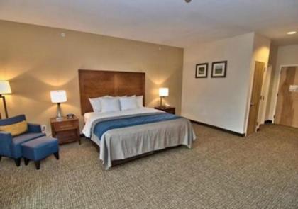 Comfort Inn - image 4