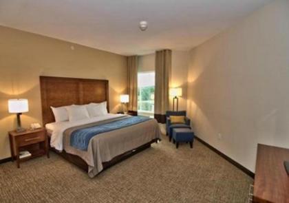 Comfort Inn - image 5