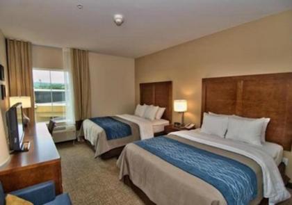 Comfort Inn - image 6