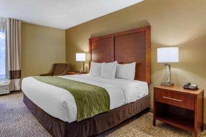 Comfort Inn Apex - Holly Springs - image 10