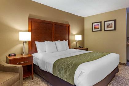 Comfort Inn Apex - Holly Springs - image 11