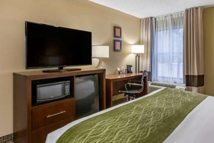 Comfort Inn Apex - Holly Springs - image 12