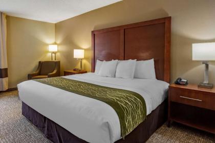 Comfort Inn Apex - Holly Springs - image 13