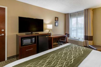 Comfort Inn Apex - Holly Springs - image 15