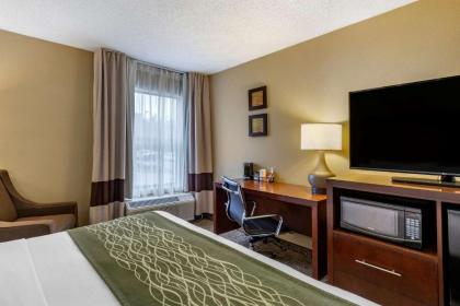 Comfort Inn Apex - Holly Springs - image 5