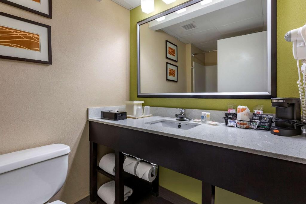 Comfort Inn Apex - Holly Springs - image 6