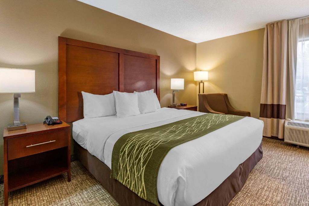 Comfort Inn Apex - Holly Springs - image 7