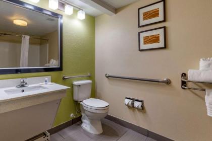 Comfort Inn Apex - Holly Springs - image 8