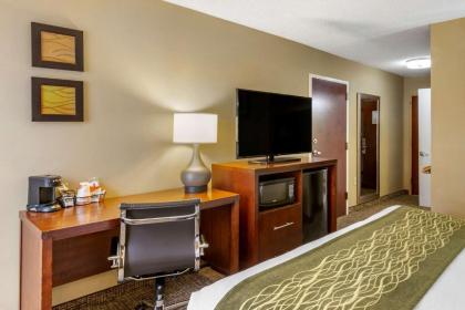 Comfort Inn Apex - Holly Springs - image 9