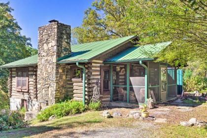 Rustic-Yet-Cozy Cabin with Patio 12Mi to Asheville!