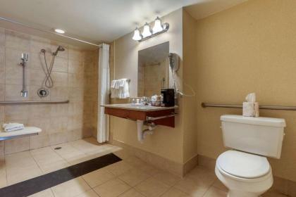 Comfort Inn Arlington Heights-OHare Airport - image 12