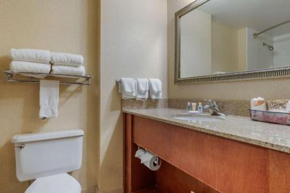 Comfort Inn Arlington Heights-OHare Airport - image 3