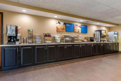 Comfort Inn Arlington Heights-OHare Airport - image 6