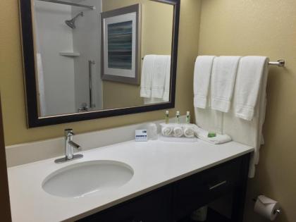 Holiday Inn Express Chicago NW - Arlington Heights an IHG Hotel - image 2