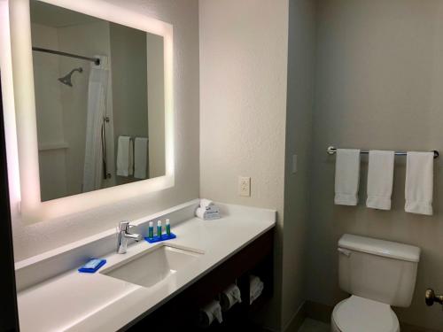 Holiday Inn Express Arlington Interstate 20 Parks Mall an IHG Hotel - image 2