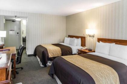 Comfort Inn Pentagon City - image 2