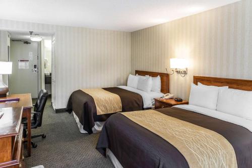 Comfort Inn Pentagon City - image 2