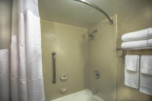 Holiday Inn Arlington at Ballston an IHG Hotel - image 2